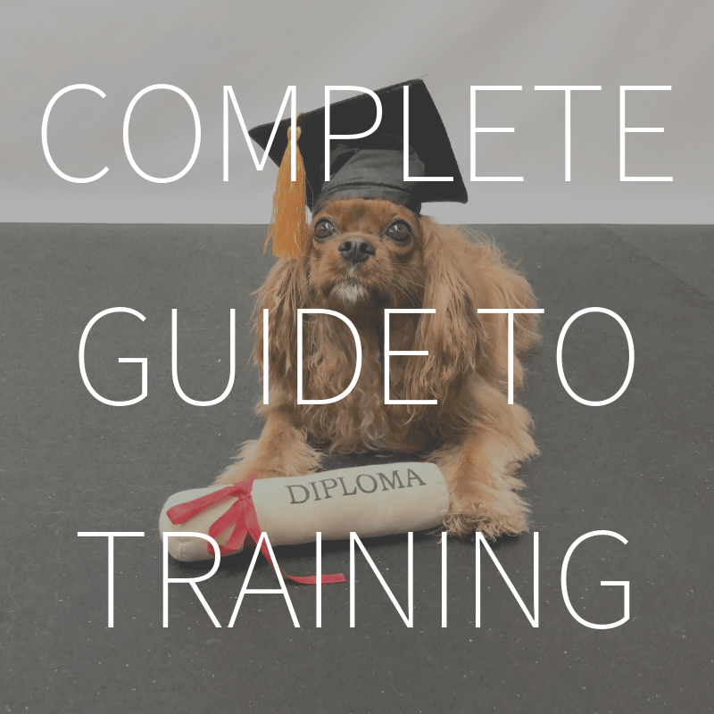 Complete Guide to Dog Training
