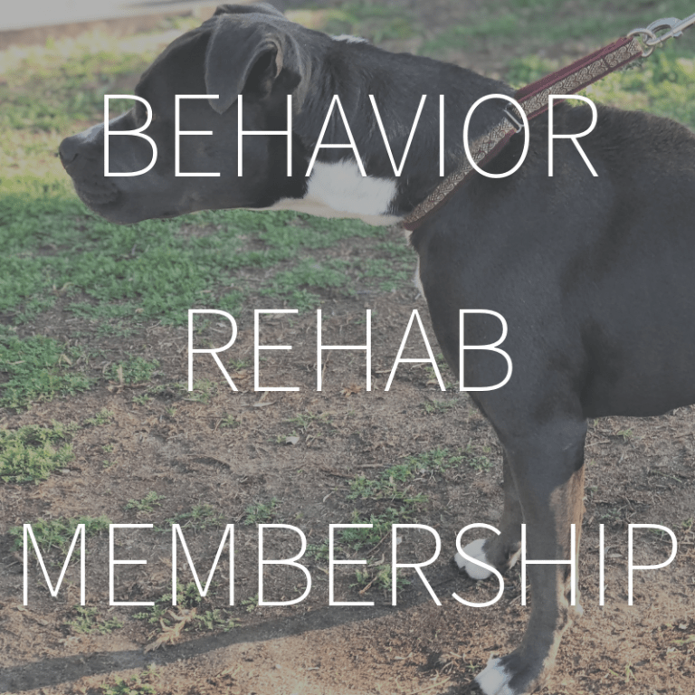 Behavior Rehab Membership For Reactive or Rowdy Dogs - Wags & Wiggles Online Classroom