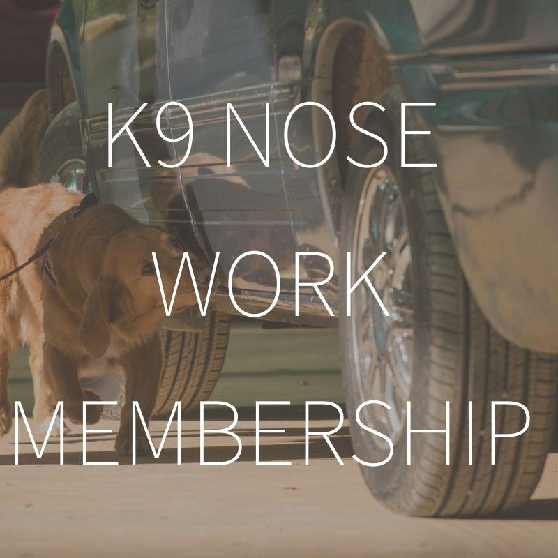 K9 Nose Work Membership